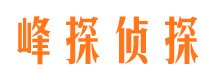 新市侦探公司